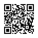 Unique Mesh Belt Co.